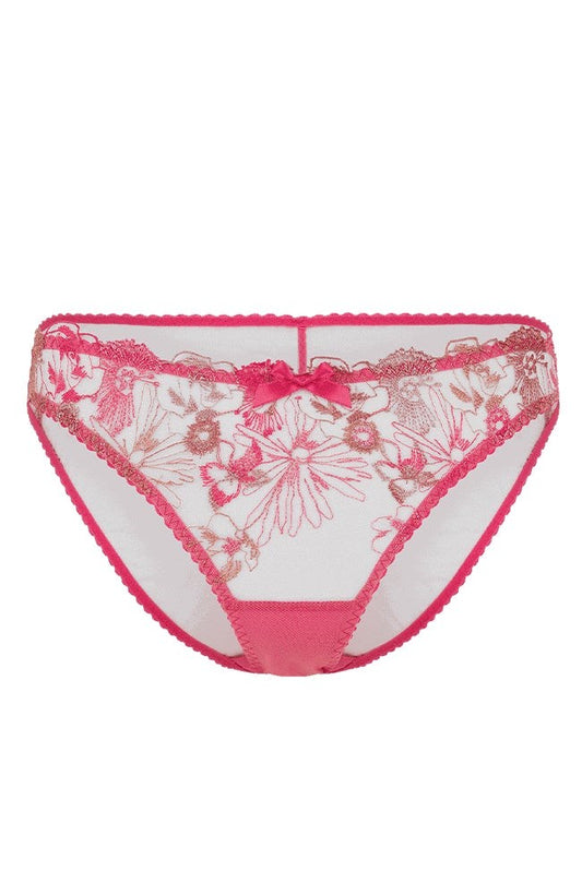 Zuri Brief